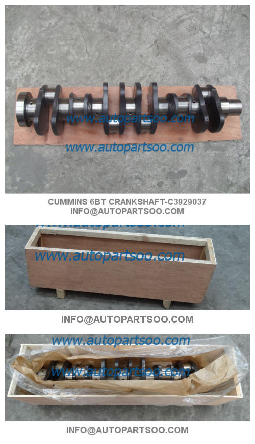 Cummins 6BT Crankshaft Cigüeñal de Motor Cummins 6BT Crankshafts Supply